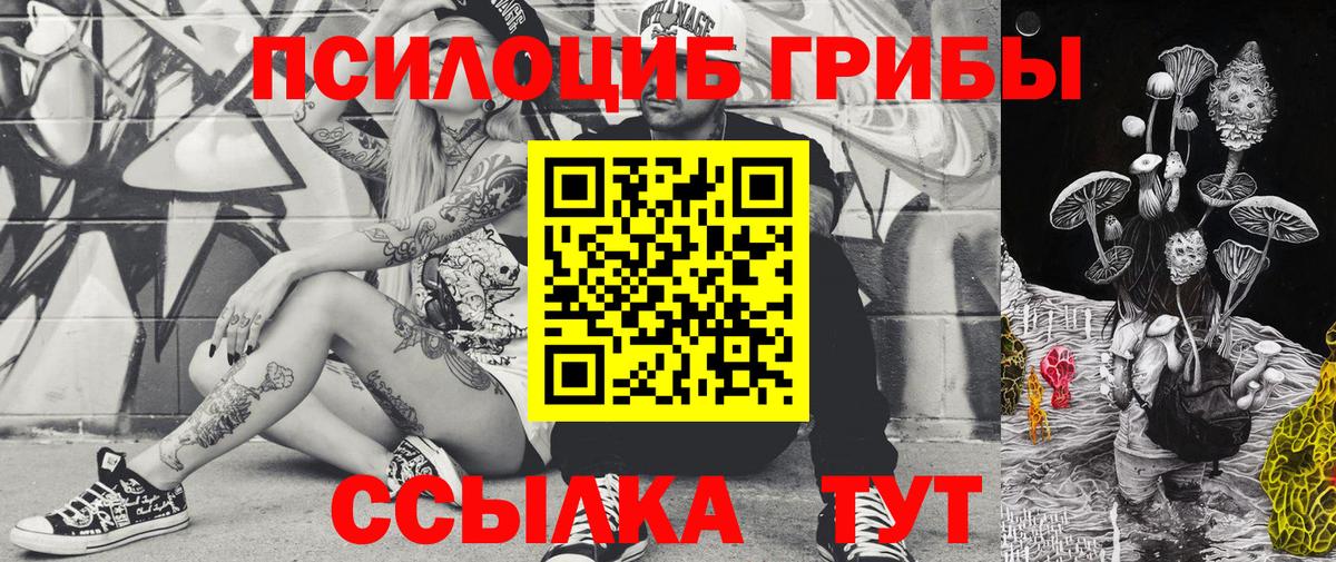 Псилоцибиновые грибы Cubensis Киселёвск