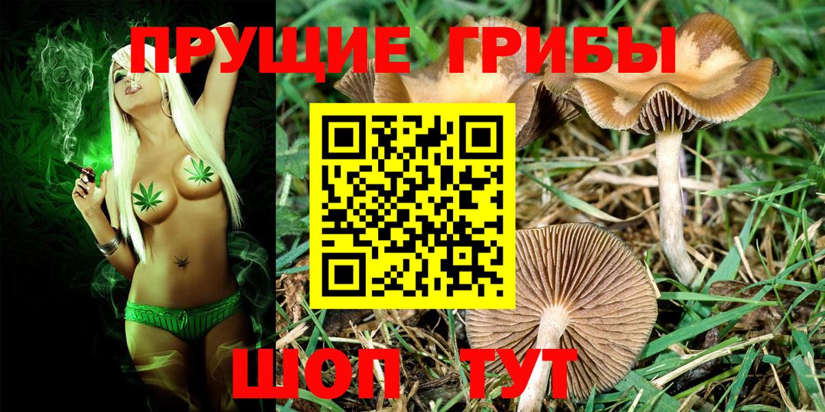 Галлюциногенные грибы мухоморы  Вход с VPN  Киселёвск 